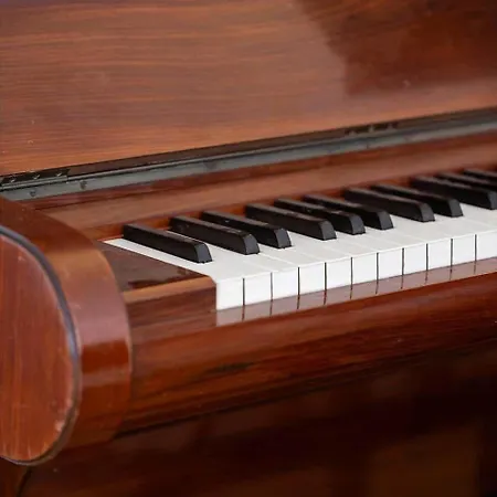 Ae317-aeroskobing-tivoli-14-5970